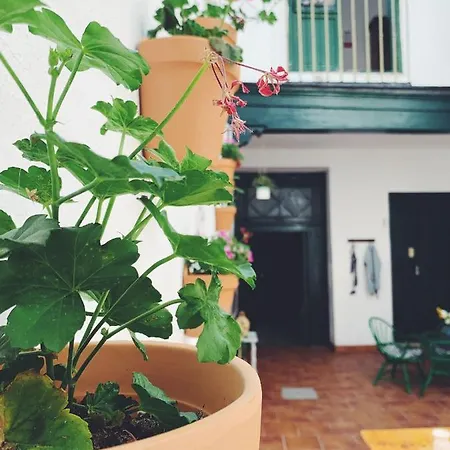 Maria Magdalena - 1 * Malaga